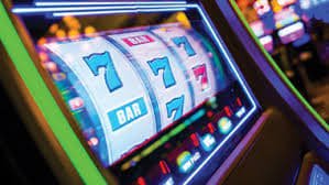 166wim bet 166wim bet